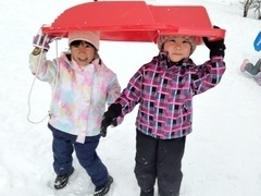 IMG20250205103737_コピー_コピー