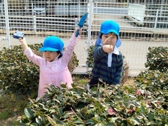 IMG20250325102055_コピー