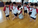 IMG20260622094701_コピー